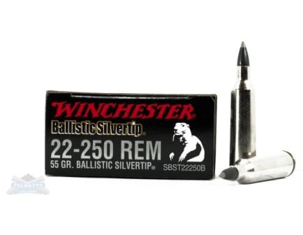 Winchester 22-250 Ammo Ballistics Silvertip Rifle Ammunition 20rds - SBST22250B