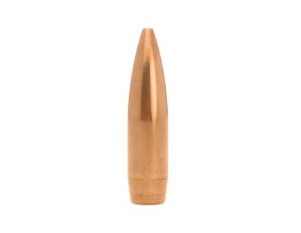 Lapua Scenar-L 7.62mm OT Rifle Bullet, 175 gr 0.308" 1000rds