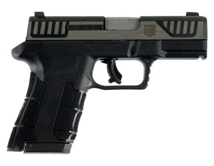 Diamondback Firearms AM2 Sub-Compact 9x19mm Pistol, Blk - DBAM29SL