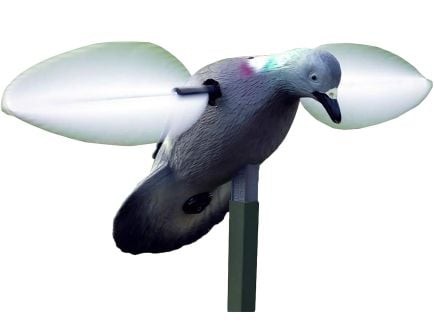 Mojo Outdoors Decoy, Pigeon - HW2410