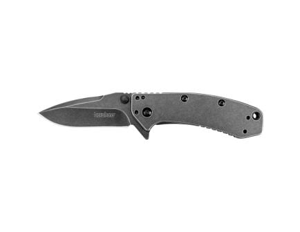 Kershaw Cryo Drop Point Assisted Folding Pocket Knife, 2.75", Black - 1555BW