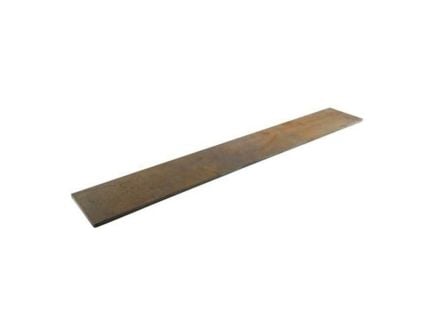 Brownells Parkerizing Diffuser Plate