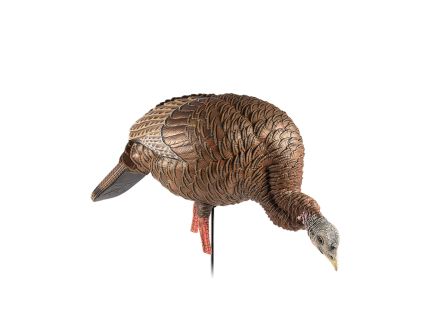 Avian-X HDR Feeding Hen Turkey Decoy