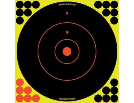 Birchwood Casey Shoot-N-C Bullseye Target
