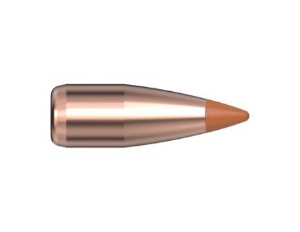 Hornady NTX .20 Cal CJPT Rifle Bullet, 24 gr 0.204" 100rds