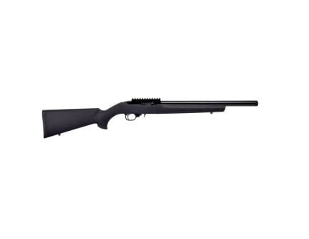 Ruger 10/22 Carbine .22LR Semi-Auto