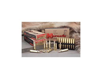 .22-250 Ammo Ballistics