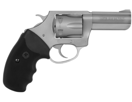 Charter Arms Pitbull Large .380 ACP Revolver, SS - 73802
