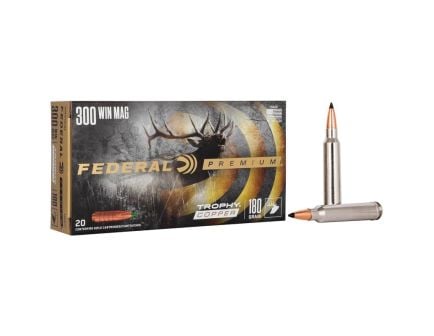 Federal American Eagle .40 S&W 180 gr FMJ 50rds