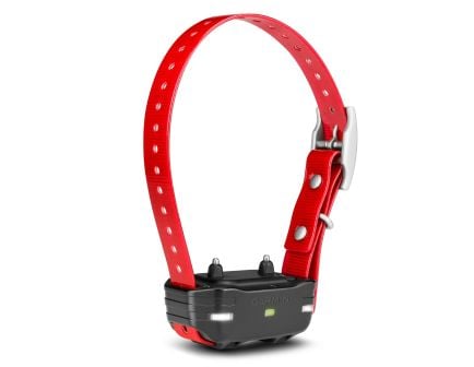 Garmin PT 10 Dog Device, Red Collar