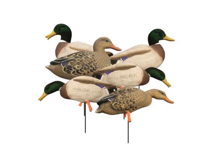Higdon Outdoors Magnum Full Body Mallard 6-Pack Duck Decoy