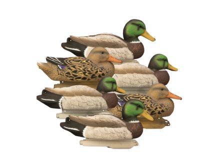 Higdon Outdoors Standard Mallard 6-Pack Duck Decoy