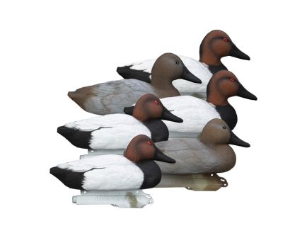 Higdon Outdoors Standard Canvasback 6-Pack Duck Decoy