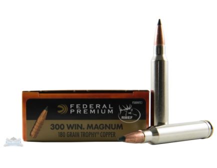 .300 Winchester Mag Ammo