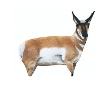 Montana Decoy Antelope Buck Decoy