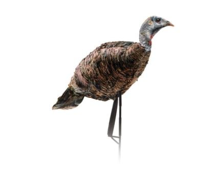 Montana Decoy Miss Purrfect XD Hen/Turkey Decoy