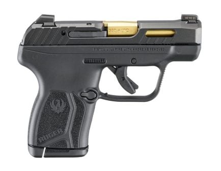 Ruger LCP Max 2.8" .380 ACP 10rd Pistol, Black w/ Tritium Sights and Holster- 13766