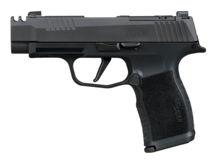 Sig Sauer P365-XL Comp 3.1" 380 Auto 12rd Handgun w/ X-Ray Sights - 365XL-380-COMP