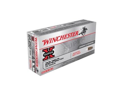 .22-250 Ammo Ballistics