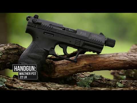 walther p22 cleaning